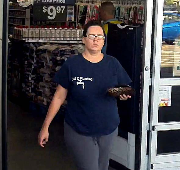 Second photo of theft suspect